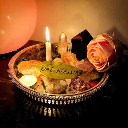 Pet Blessing Candle Burning Ritual