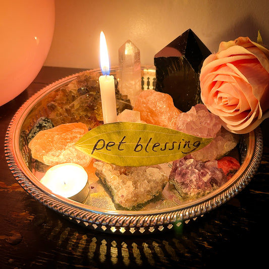 Pet Blessing Candle Burning Ritual