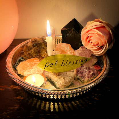 Pet Blessing Candle Burning Ritual