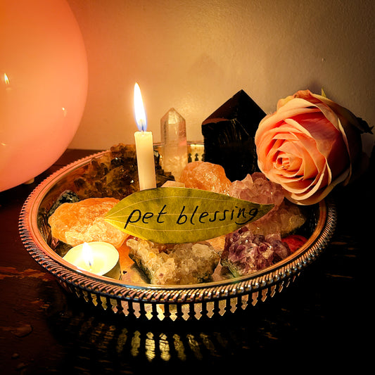 Pet Blessing Candle Burning Ritual